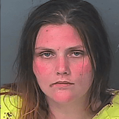 Nearly Naked Florida Woman Leads Police On High Speed Chase In Stolen Car