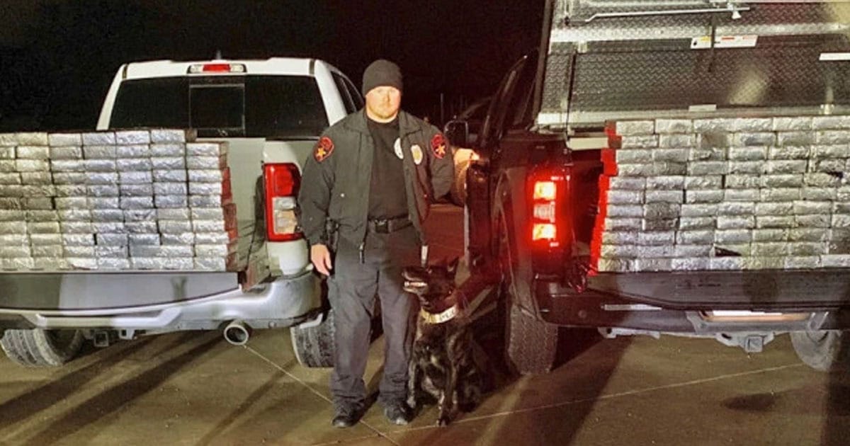 Police Dog Sniffs Out $1.2 Million Worth Of Meth From Tractor-Trailer