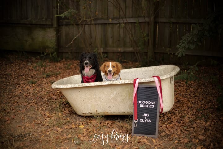bffs photoshoot