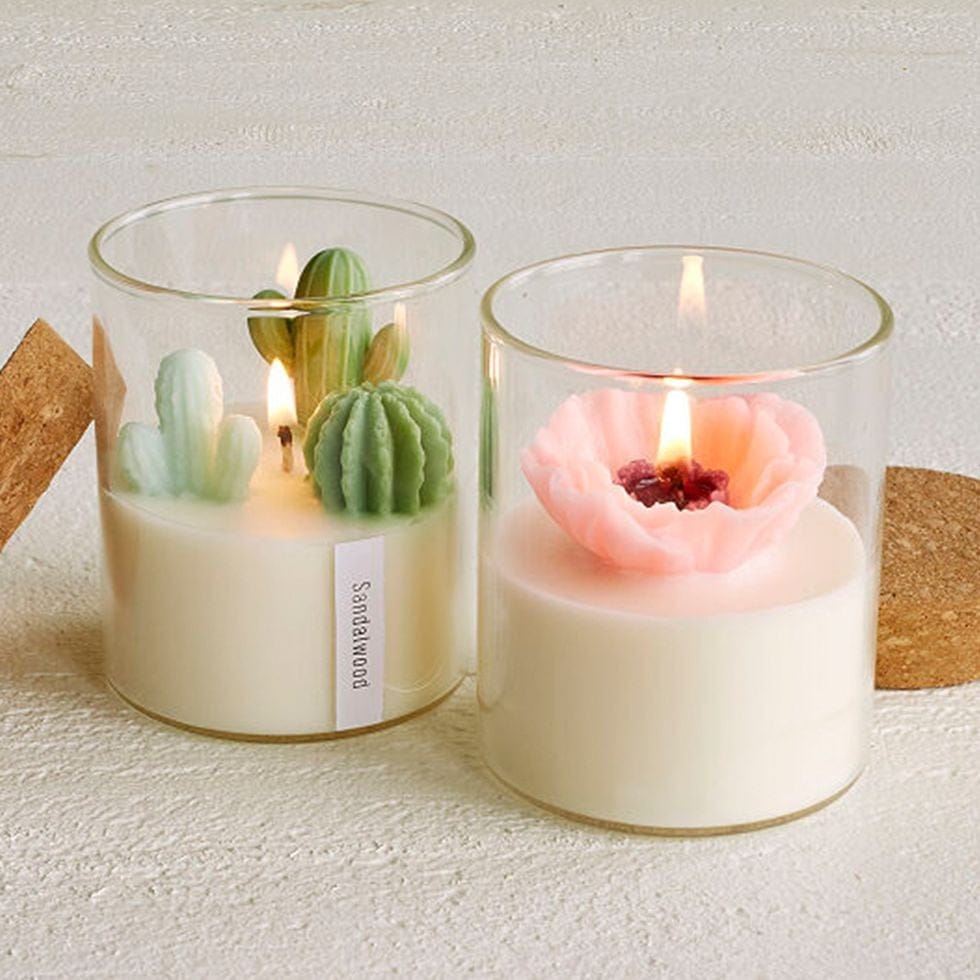 These Terrarium Plant Candles Are So Lifelike, You’ll Think They’re The Real Thing