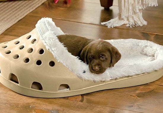 dog shaped slippers