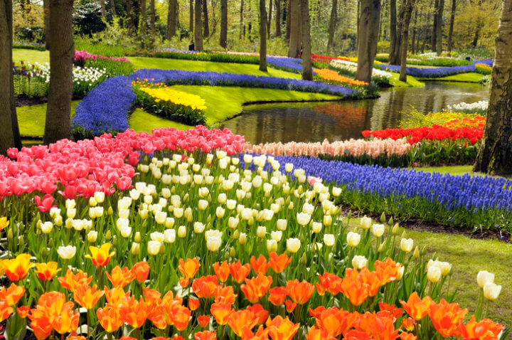 The World's Most Beautiful Flower Garden Is A Bucket List Destination
