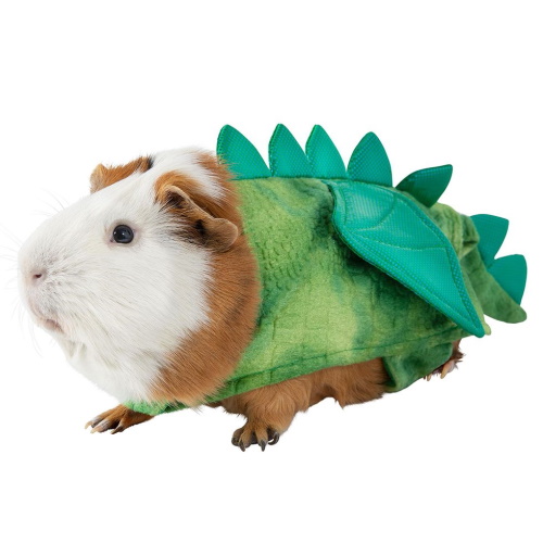 guinea pig halloween costume