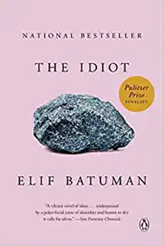 elif batuman the idiot cover